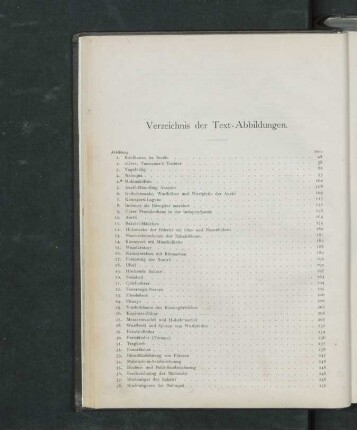 Verzeichnis der Text-Abbildungen