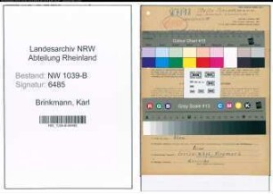 Entnazifizierung Karl Brinkmann , geb. 09.03.1887 (Landwirt)