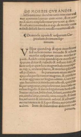 De morsu apum & vesparum Capitulum decimum septimum. [i.e. sextum]