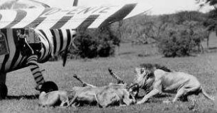 Serengeti darf nicht sterben