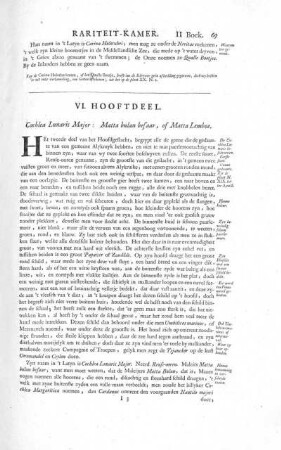 VI. Hooftdeel. Cochlea Lunaris Major: Matta bulan besaar, of Matta Lemboe