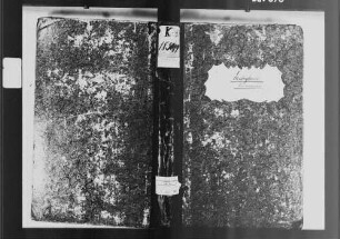 Eubigheim (Ober- und Untereubigheim), katholische und israelitische Gemeinde: Standesbuch 1830-1849