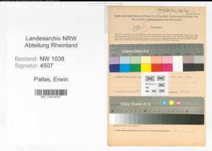 Entnazifizierung Erwin Pallas , geb. 02.10.1920 (Angestellter)