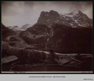 Panorama mit Eiger