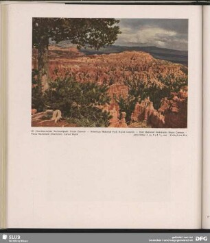 Amerikanischer Nationalpark: Bryce Cannon