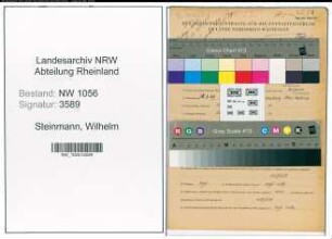 Entnazifizierung Wilhelm Steinmann , geb. 28.03.1909 (Kaufmann)