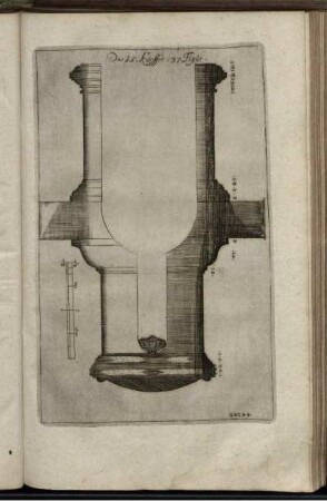 Das 15. Kupffer (Figura 37)