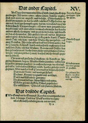 Dat drüdde Capitel.