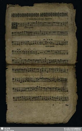 [Basso continuo]