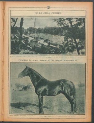De la gran guerra
