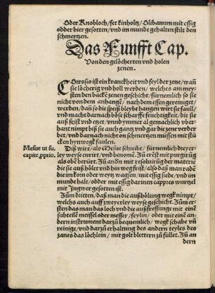 Das Funfft Cap.