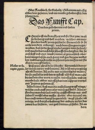 Das Funfft Cap.