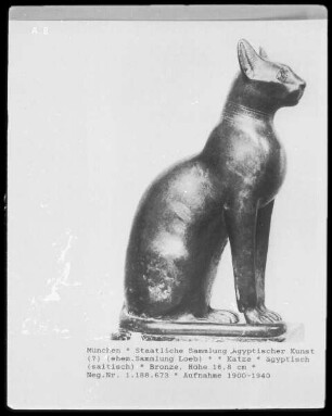 Katze