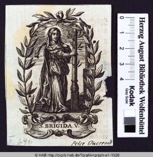 S. Brigida. V.