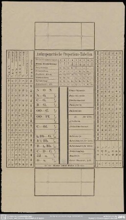 Anthropometrische Proportions-Tabellen