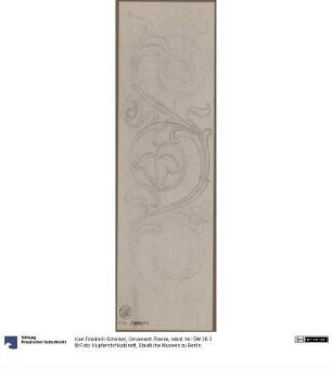 Ornament. Ranke