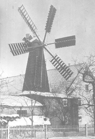 Obercunnersdorf. Windmühle, Gehöft von Paul Heinrich, Haus-Nr. 260, Repro (Bildersammlung Christfried Heinrich, Obercunnersdorf)