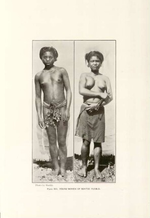 Plate XVI. Young women of Bontoc pueblo