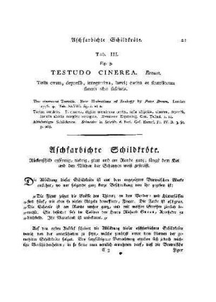 Tab. III. Fig. 3 Testudo Cinera : Aschfarbichte Schildkröte