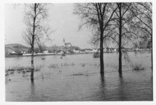 Überschwemmung Kisselwörth, Nackenheim