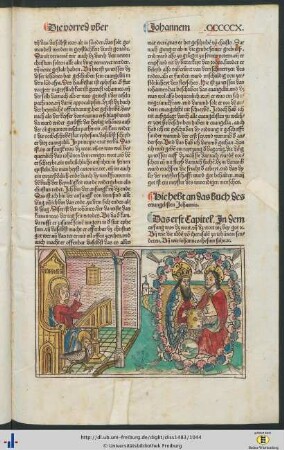 Das buch des ewangelisten Johannis