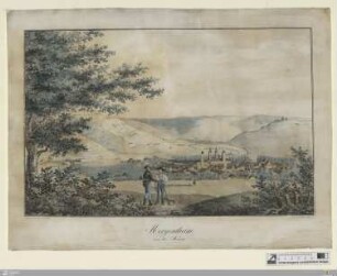 Mergentheim von der Westseite