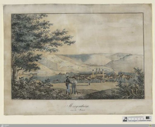 Mergentheim von der Westseite