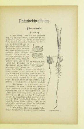 Naturbeschreibung