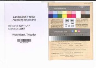 Entnazifizierung Theodor Wehrmann , geb. 24.11.1901 (Lehrer)
