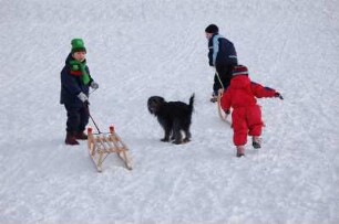 Kinder rodeln im Harz : Kinder am Rodelhang, Unterharzgebiet, bei Friedrichsbrunn, aufgenommen 2006