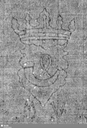 [Wasserzeichen Bl. 300]