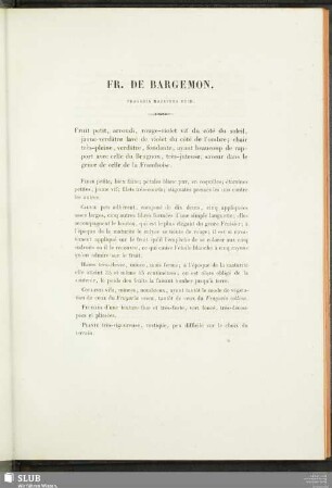 Fr. De Bargemon (Fragaria Majaufea Duch.)