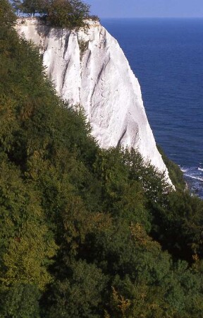 Insel Rügen - Königsstuhl : Kreidefelsen Königsstuhl auf der Insel Rügen. Aufgenommen 2001