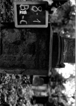 Grabstein B II C/8/1 (Detailaufnahme 1)