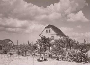 Weinböhla, Spargel-Plantage. Spargelfelder und Wirtschaftgebäude