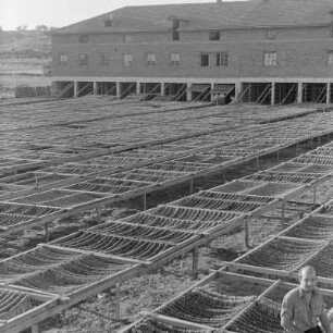 Trockenhalle für die Tabakernte der Landwirtschaftlichen Produktionsgenossenschaft in Blagoewgrad