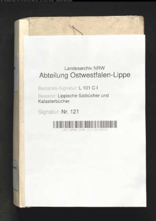 Salbuch der Vogtei Heiden von 1829, Bd. 1