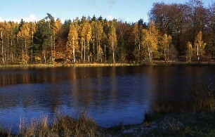 Der Harz - Waldsee : Teich im Unterharz. Aufgenommen im Harz ca. 1995