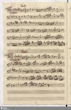 1167. Duettino: Un amplesso prendi o caro / Naumann, J.G.