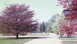 Dresden. Großer Garten mit Kavaliershaus : Dresden-Altstadt. Großer Garten, Partie mit Kavaliershaus