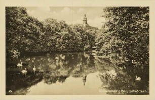 Sondershausen / Thür., Schloß-Teich.