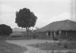 Bei Songea : Landschaft mit Baum, Haus und Hütte.