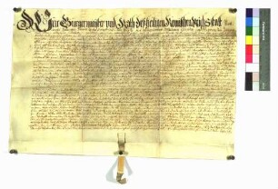 Lehenbrief der Stadt Rottweil für Michel Bantlin und Genossen als Träger des Fleckens Bösingen um den Hof zu Herdern.