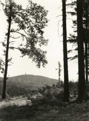 Sebnitz. Blick zum Tanzplan (598 m, Tschechoslowakei) vom Buchberg