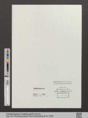Mottek, Helene