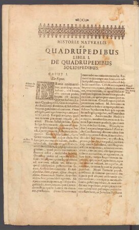 Caput I. De Equo.