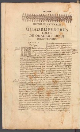 Caput I. De Equo.