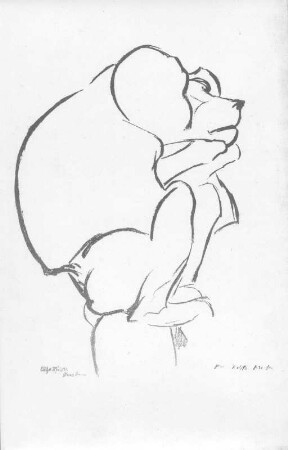 Sitzender Affe : Sitzender Affe. Kohlezeichnung (nach 1945; E. Richter). Dresden-Striesen, Borsbergstraße 11, Atelier der Künstlerin