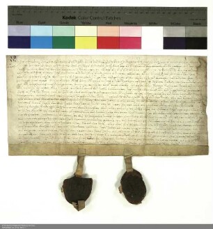 Johann Friedrich [von Schwalbach], Abt von Fulda und Verwalter der Propstei Johannesberg, verleiht einen Hof in Harmerz