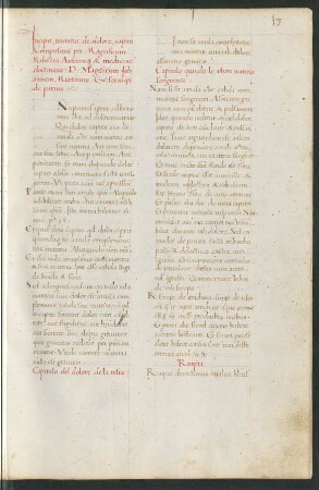 De dolore capitis